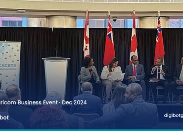 Building Connections: Afro-Caricom Business Event (Dec 2024)